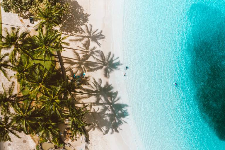 Strand mit Palmen links, Wasser mit Menschen rechts, Vogelperspektive